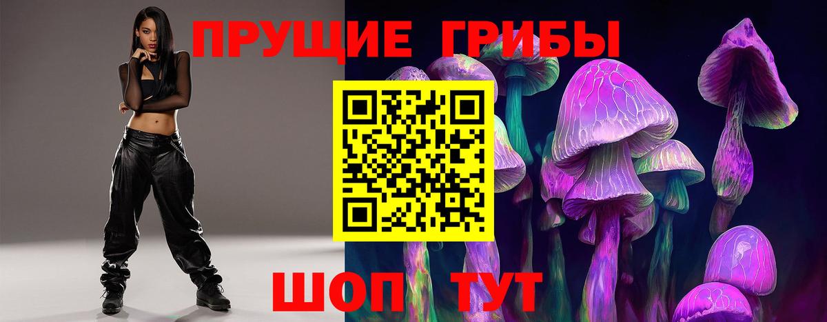 Галлюциногенные грибы Psilocybe Богородск